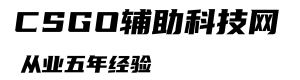 CS2辅助-CS2透视自瞄外挂科技网站